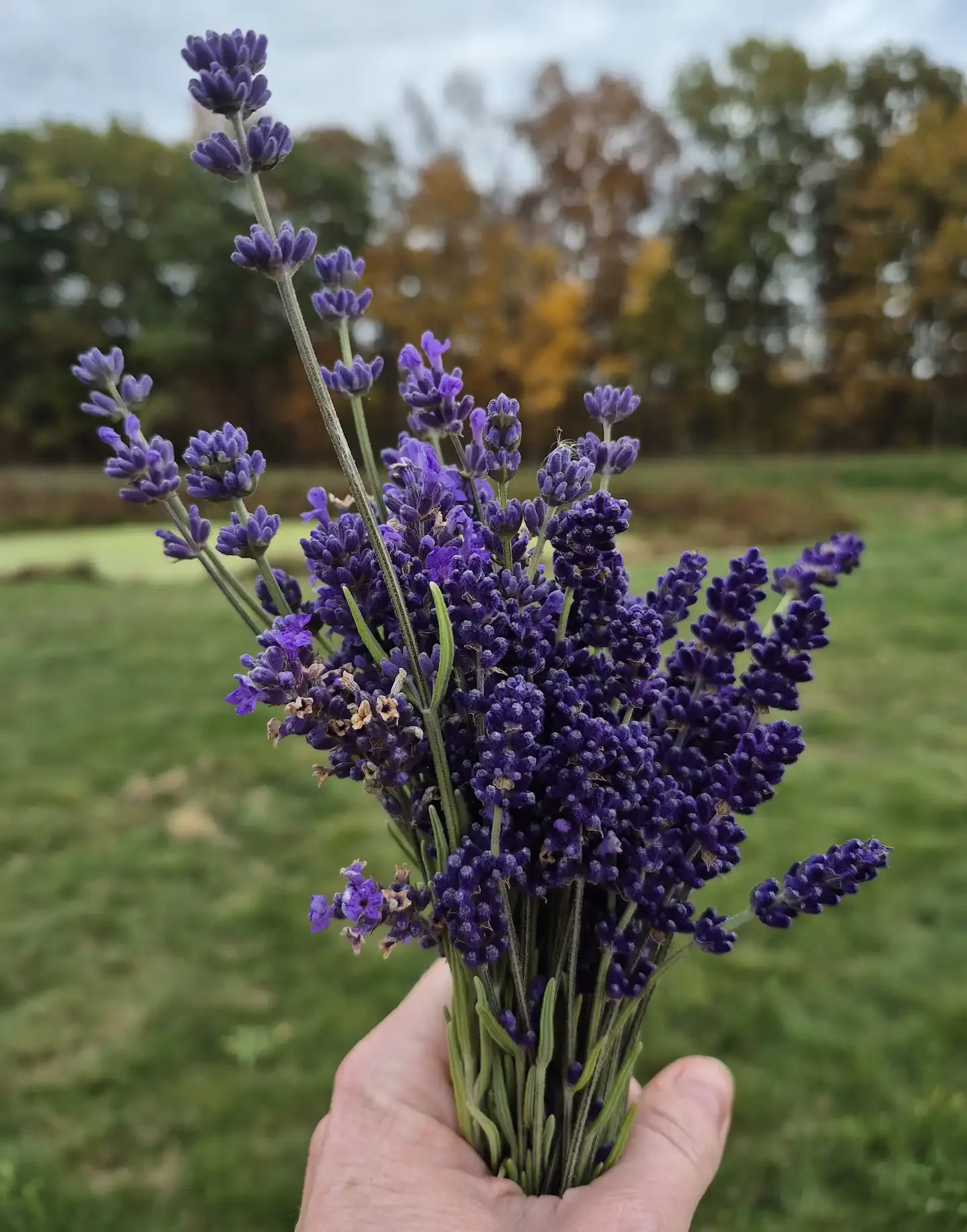 Specialty Products - 1