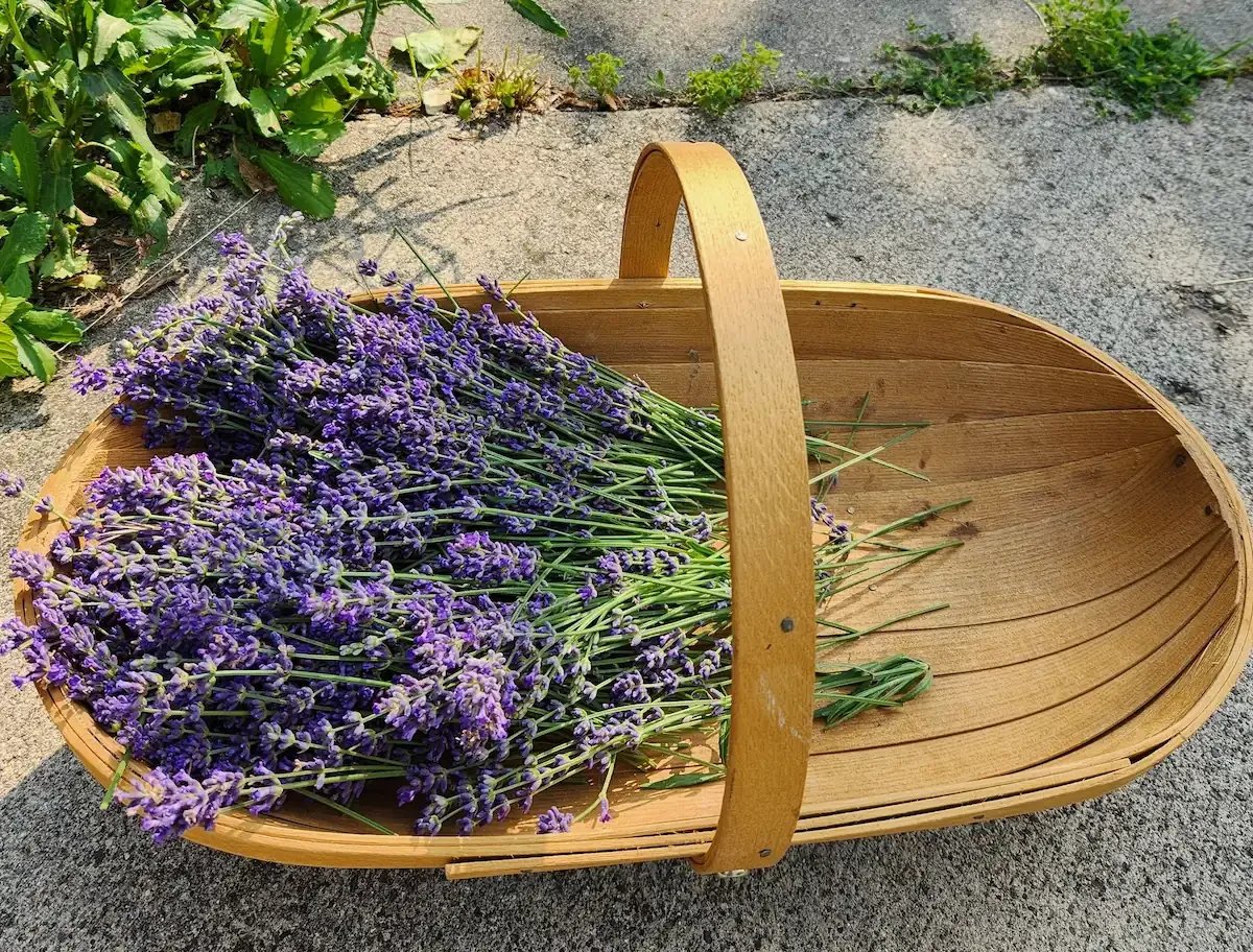 Specialty Products - 2